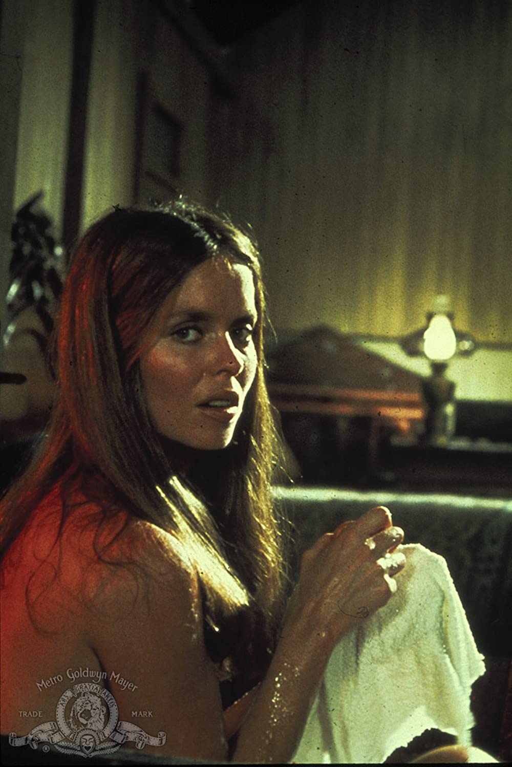 ナバロンの嵐の画像