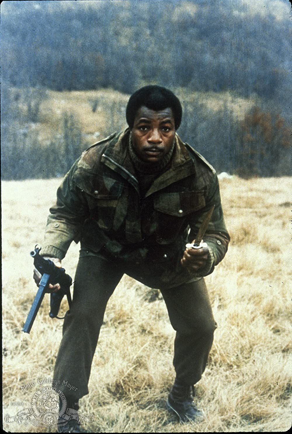 ナバロンの嵐 解説・レビュー・評価 映画ポップコーン