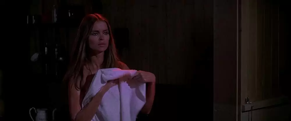 ナバロンの嵐の画像