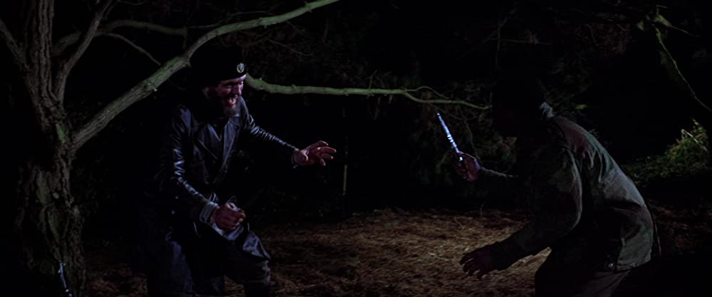 ナバロンの嵐の画像