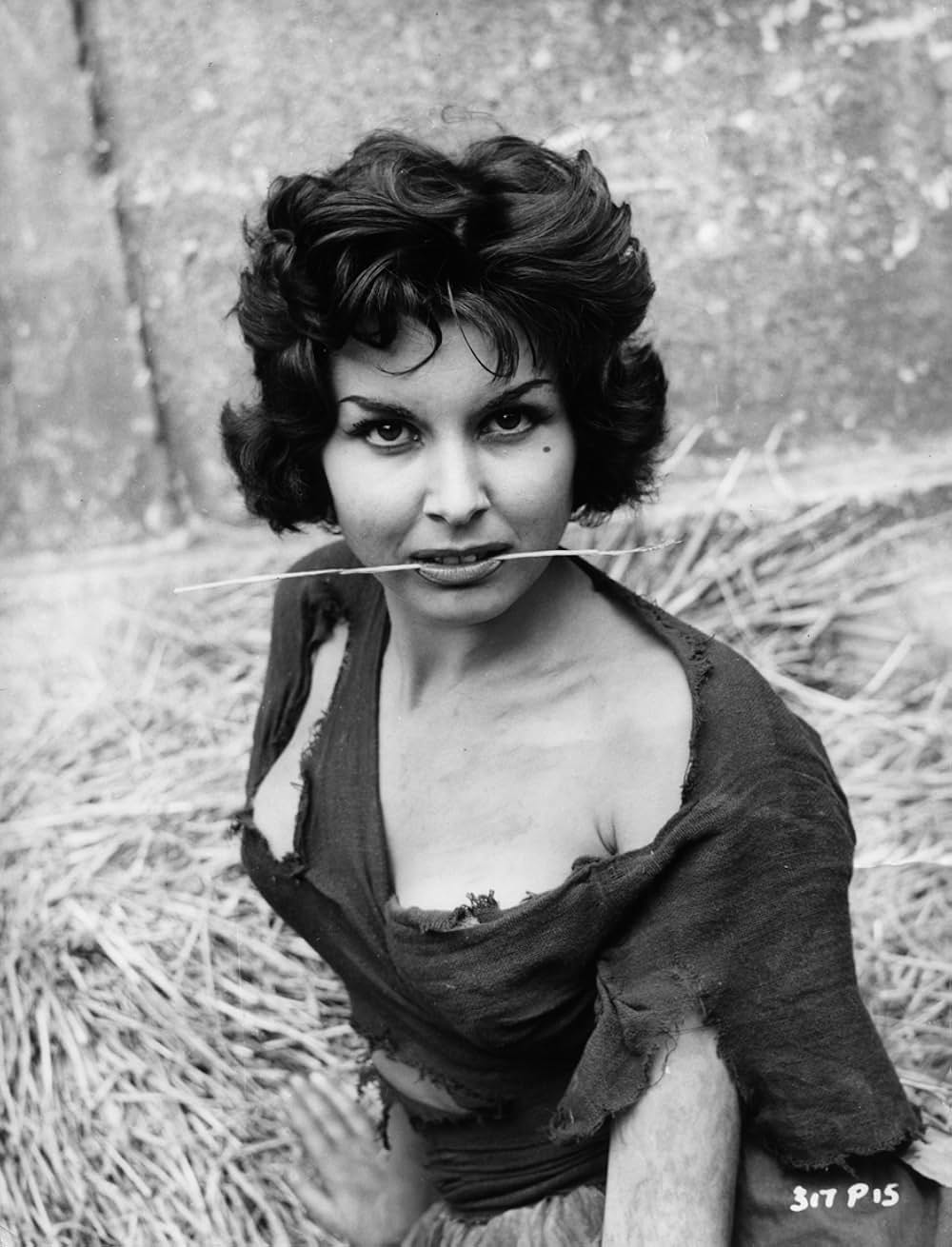 二都物語の画像