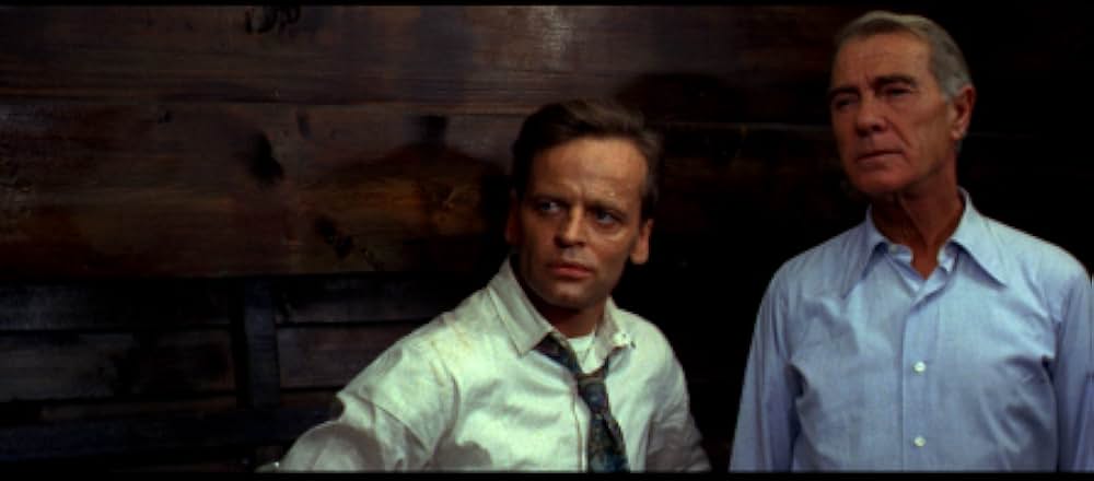 盗みのプロ部隊の画像