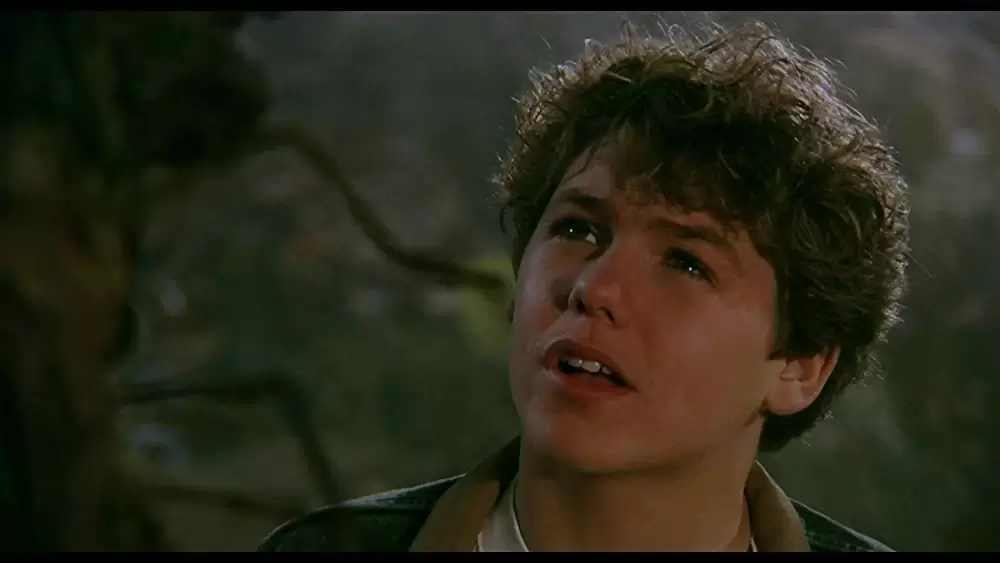 ネバーエンディング・ストーリー3の画像