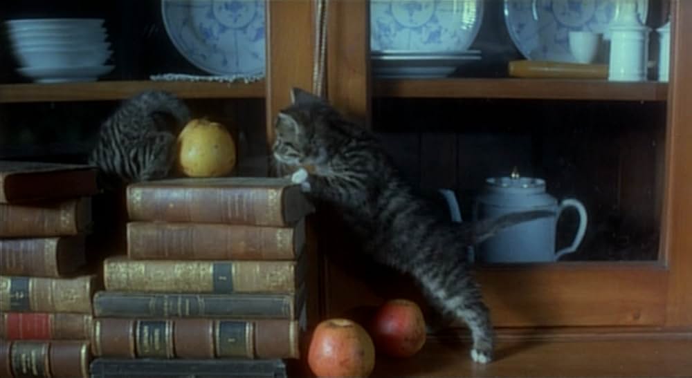 ノスフェラトゥの画像