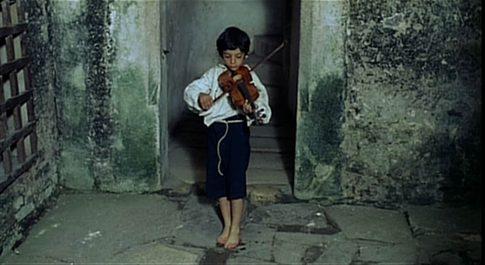 ノスフェラトゥの画像