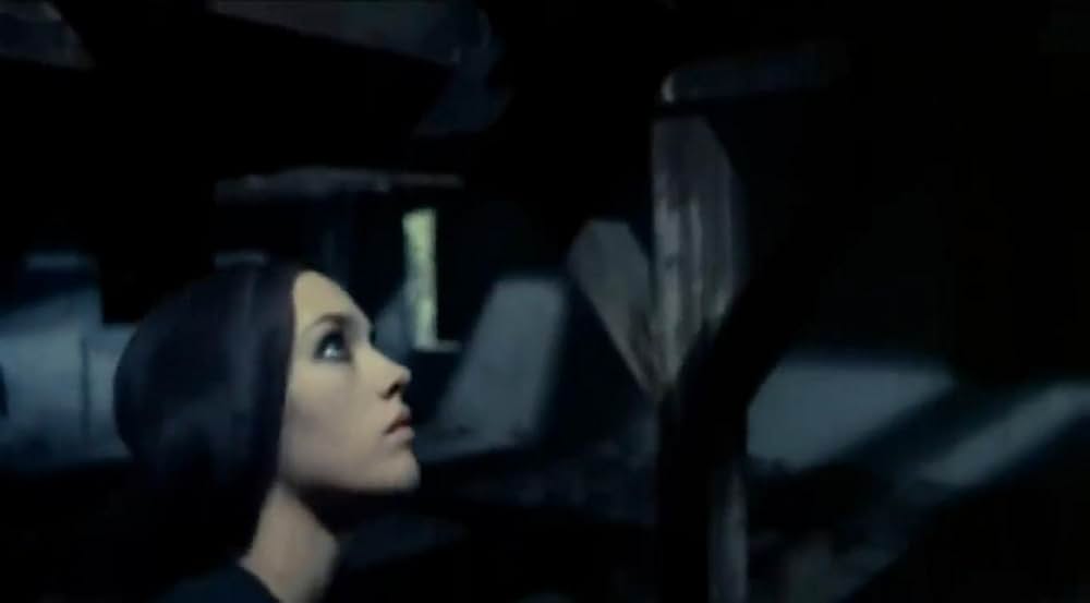 ノスフェラトゥの画像