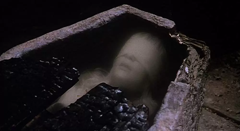 呪われた森の画像