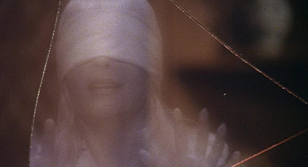 呪われた森の画像