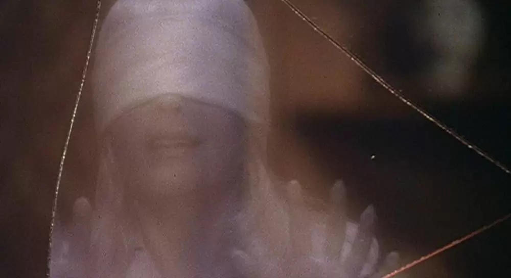 呪われた森の画像