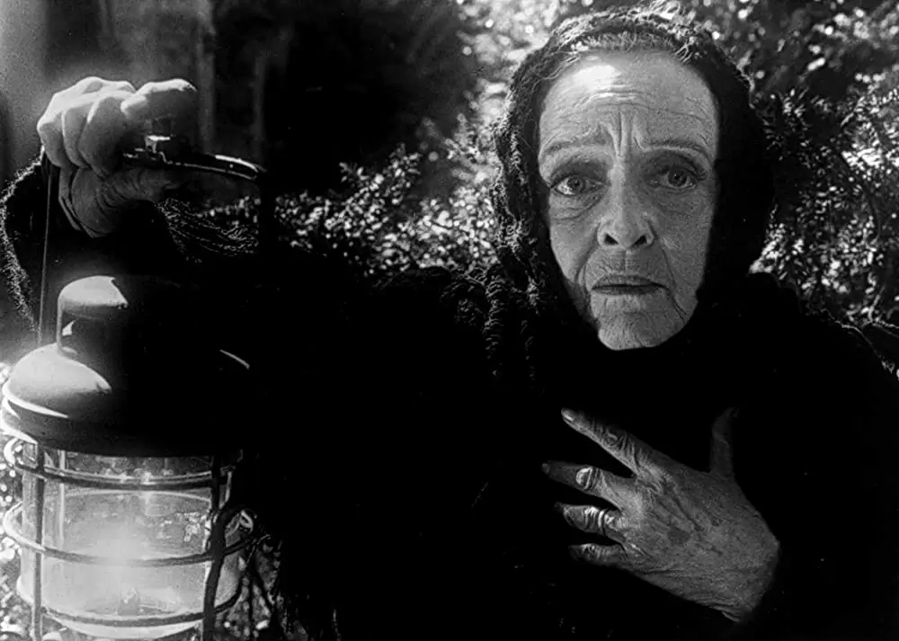 呪われた森の画像