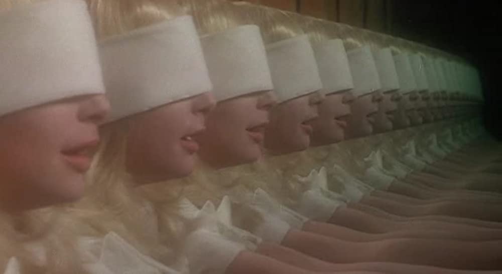 呪われた森の画像