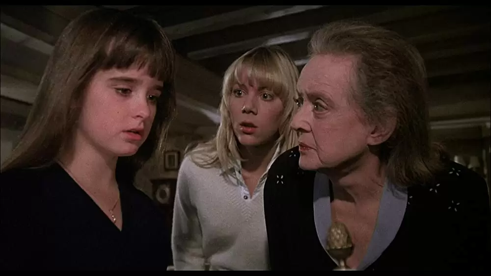 呪われた森の画像