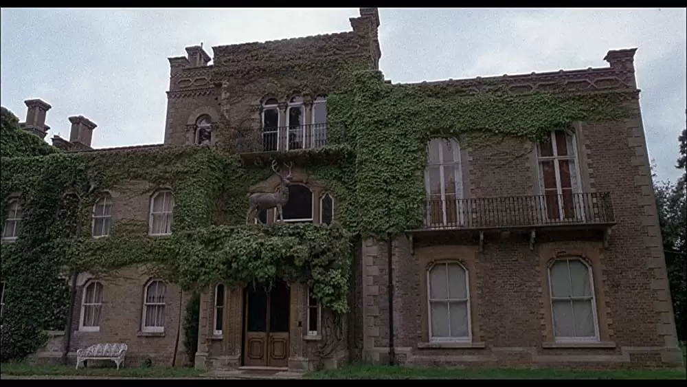 呪われた森の画像