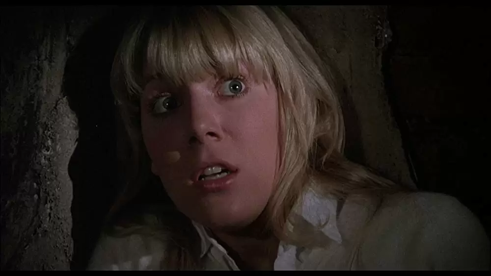 呪われた森の画像