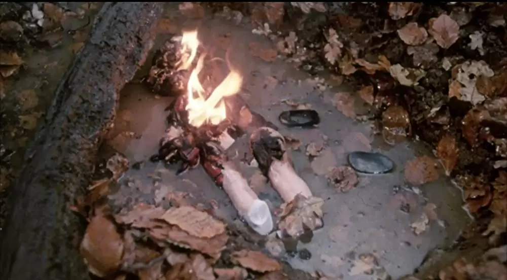 呪われた森の画像