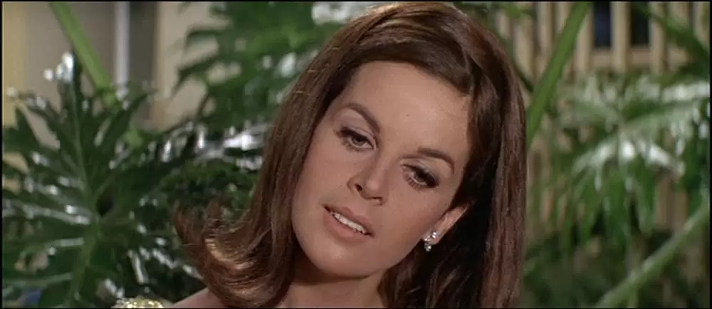 パーティの画像