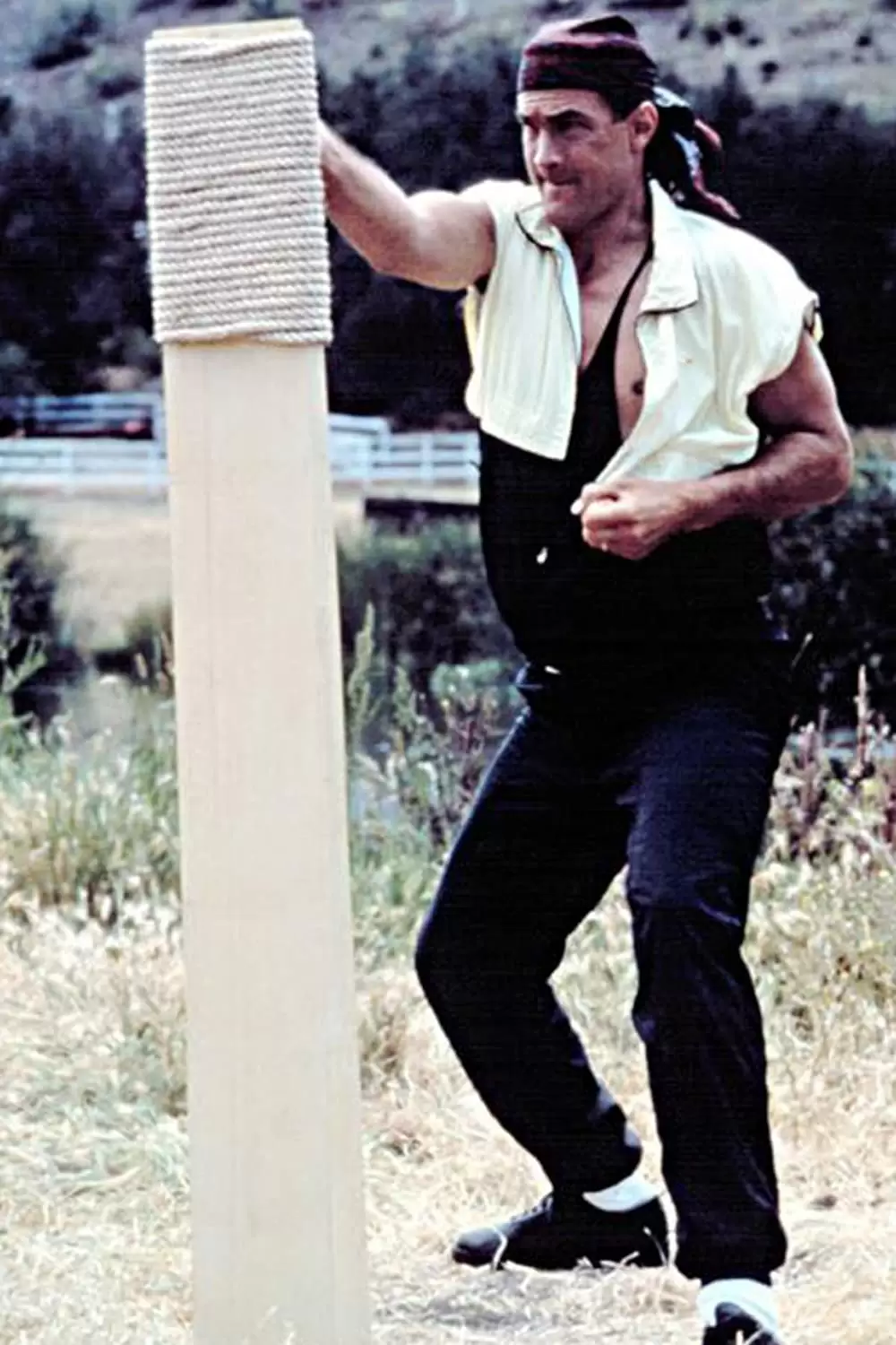 「ハード・トゥ・キル」スティーブン・セガールの画像