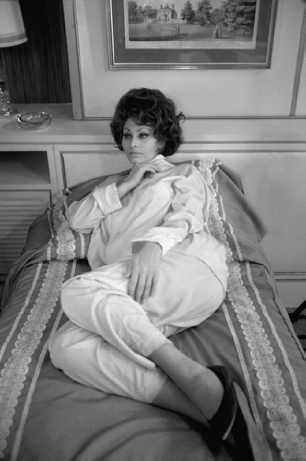 伯爵夫人の画像