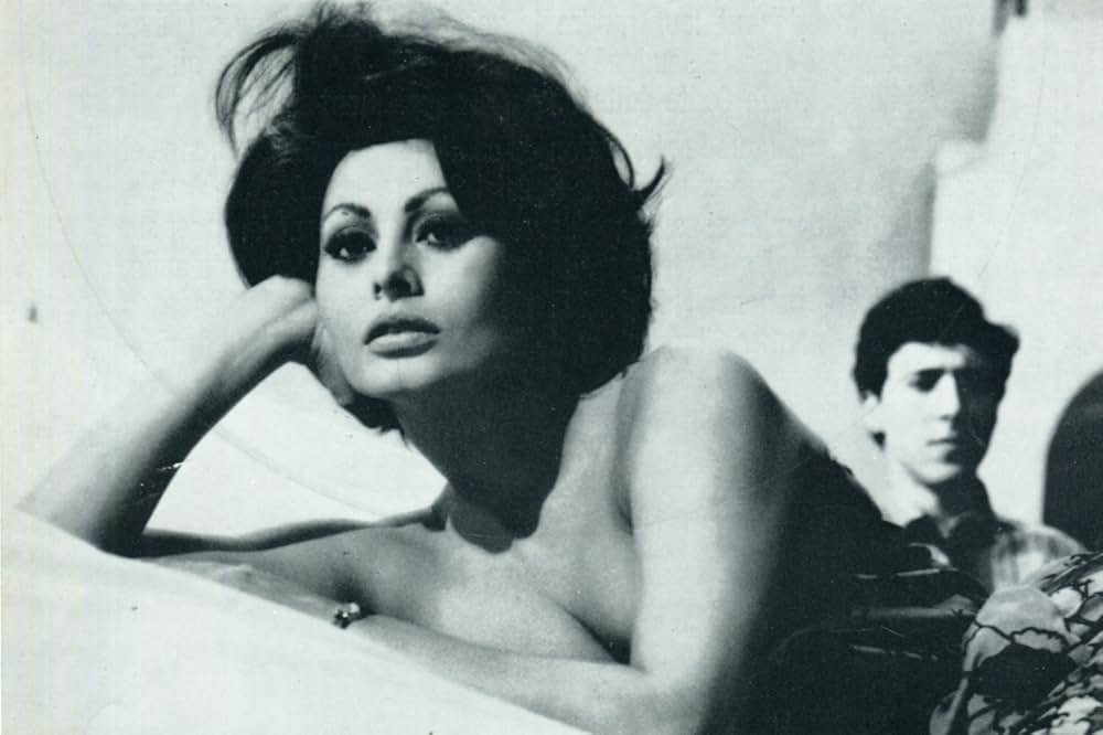 伯爵夫人の画像