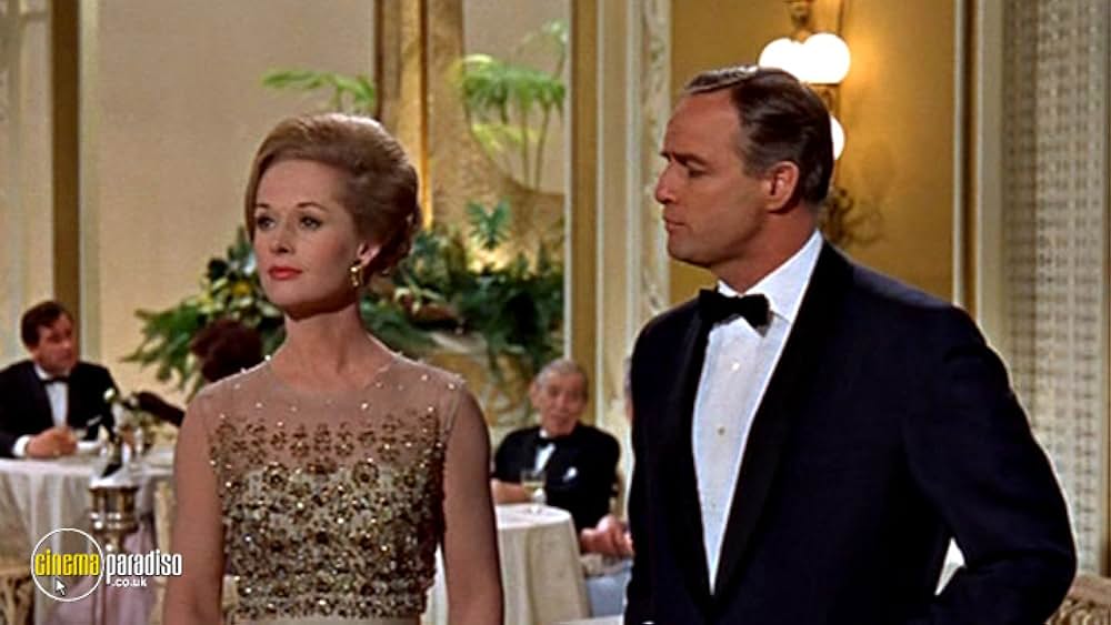 伯爵夫人の画像