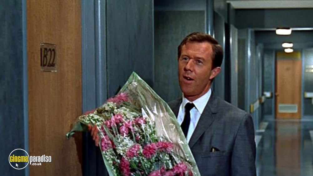 伯爵夫人の画像