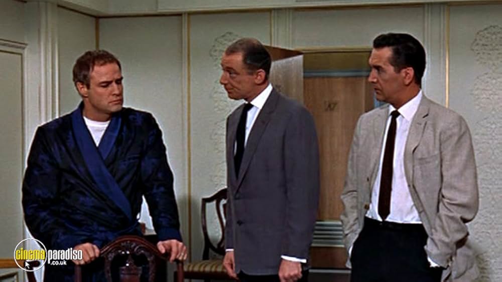 伯爵夫人の画像