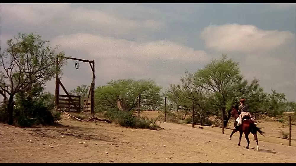 バッド・ガールズの画像