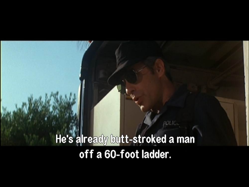 パニック・イン・スタジアムの画像