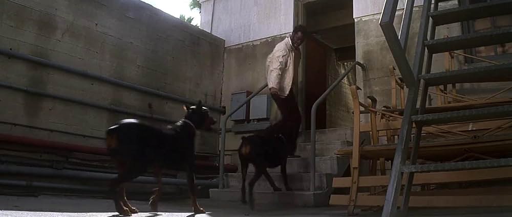 パニック・イン・スタジアムの画像