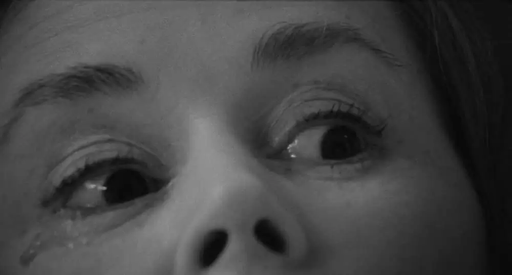 ハネムーン・キラーズの画像