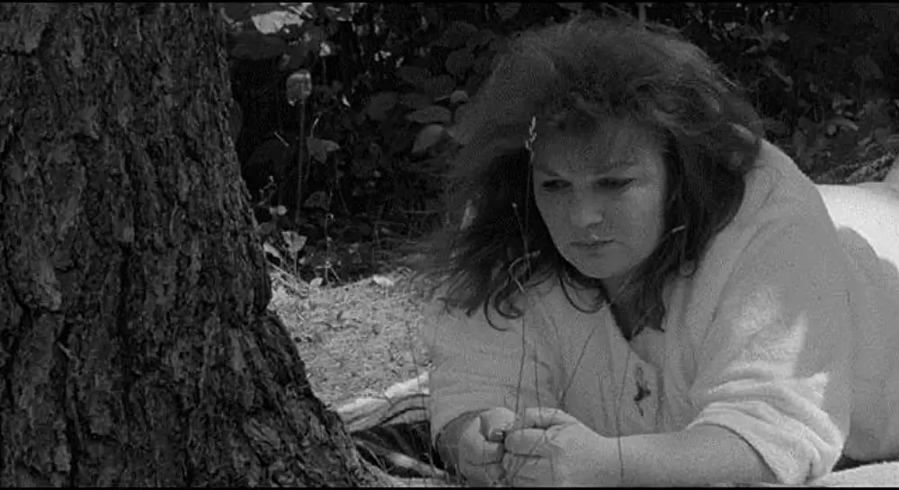 ハネムーン・キラーズの画像