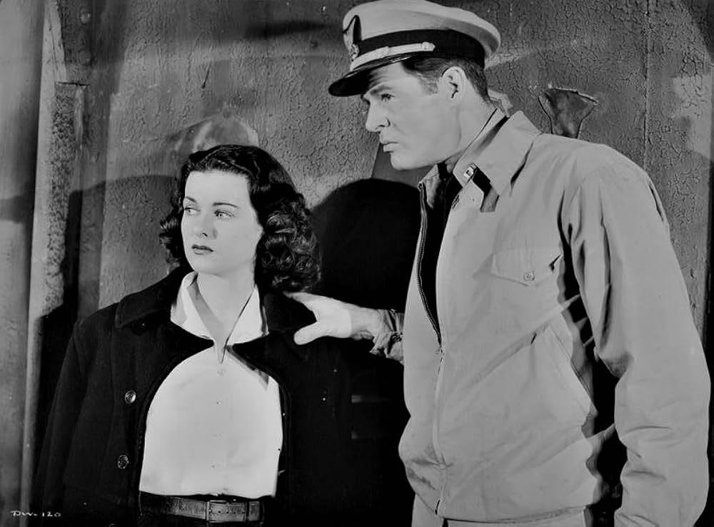 浜辺の女の画像