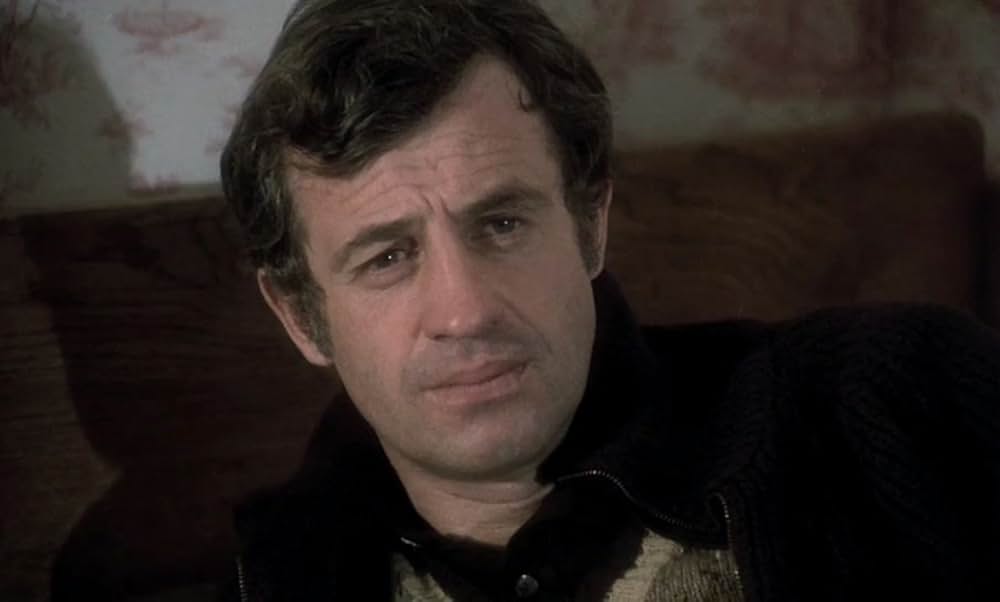 薔薇のスタビスキーの画像