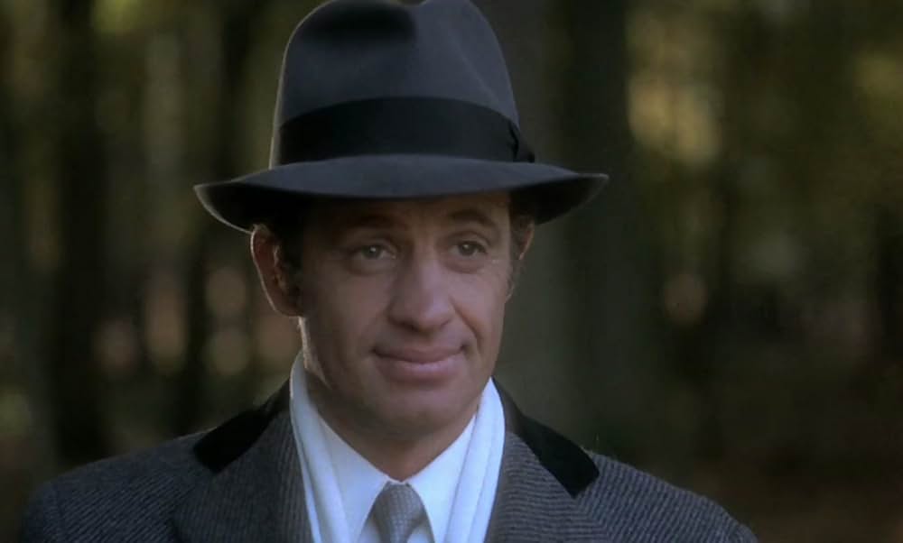 薔薇のスタビスキーの画像