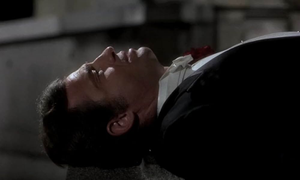 薔薇のスタビスキーの画像