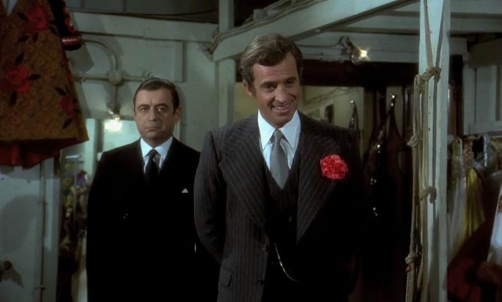 薔薇のスタビスキーの画像