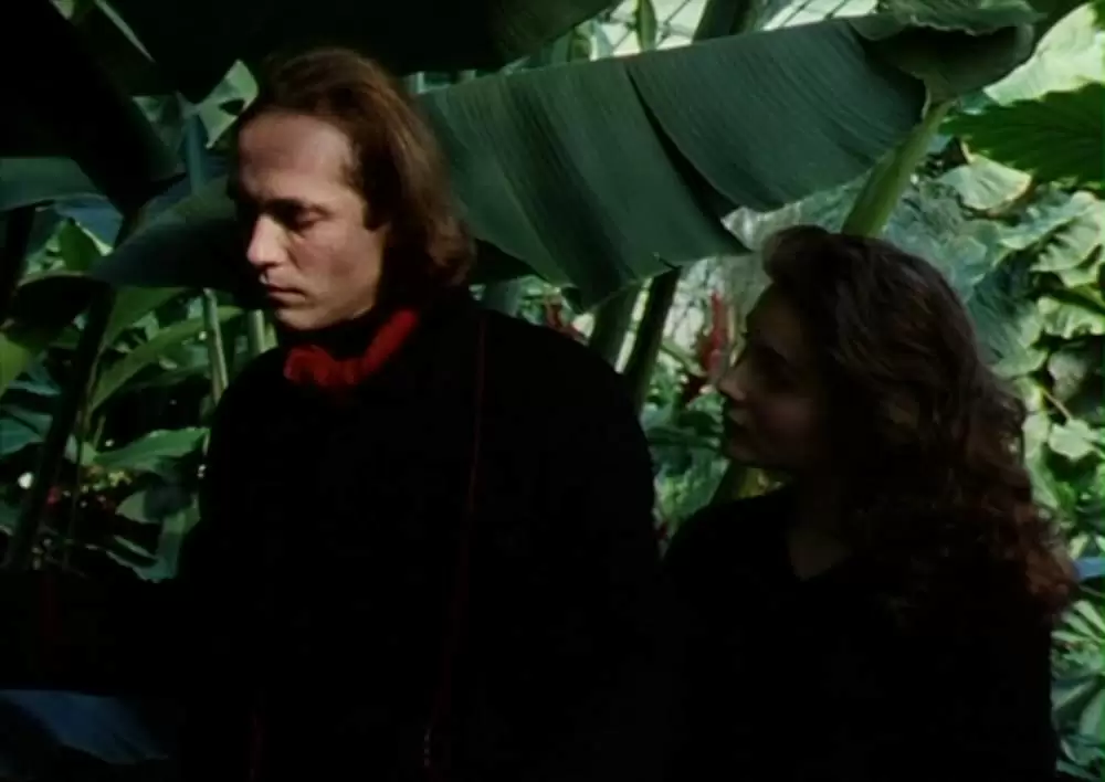 パリのランデブーの画像