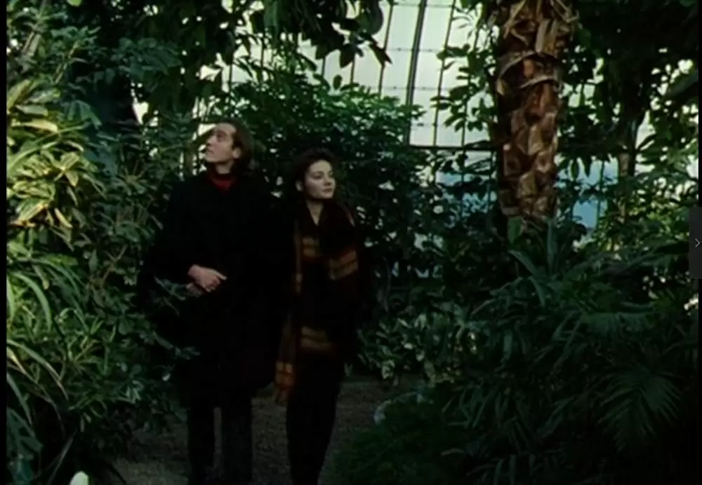 パリのランデブーの画像