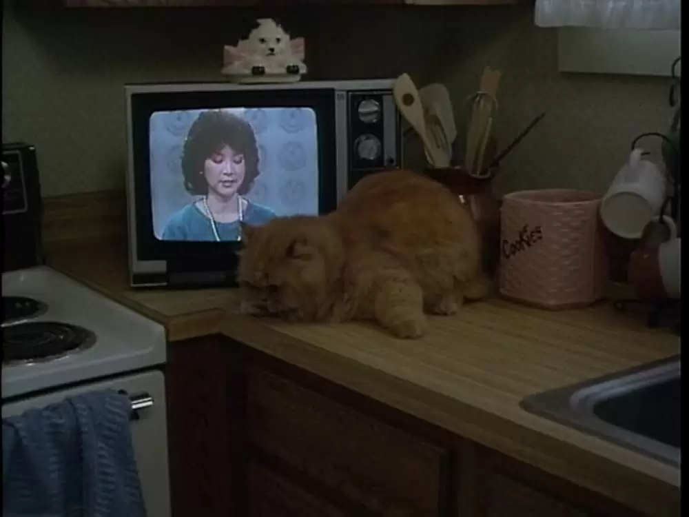 ハロウィン1988・地獄のロック&ローラーの画像