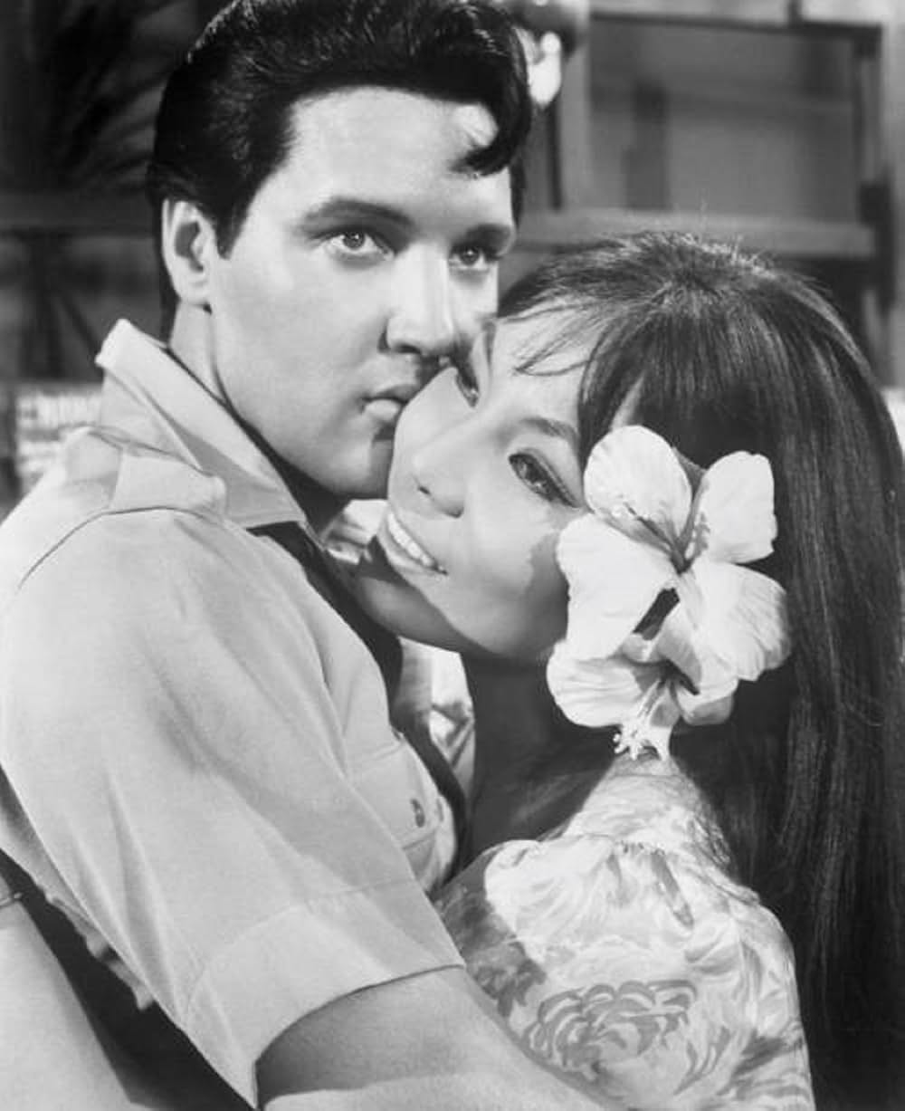 ハワイアン・パラダイスの画像