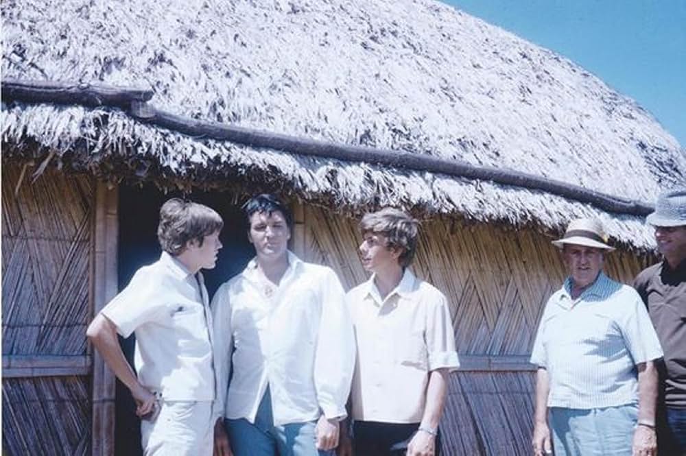 ハワイアン・パラダイスの画像