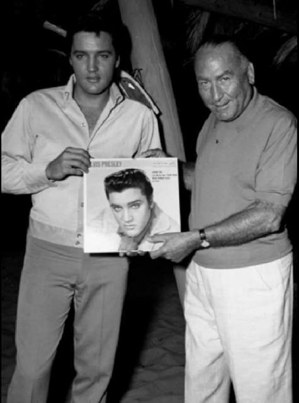 ハワイアン・パラダイスの画像