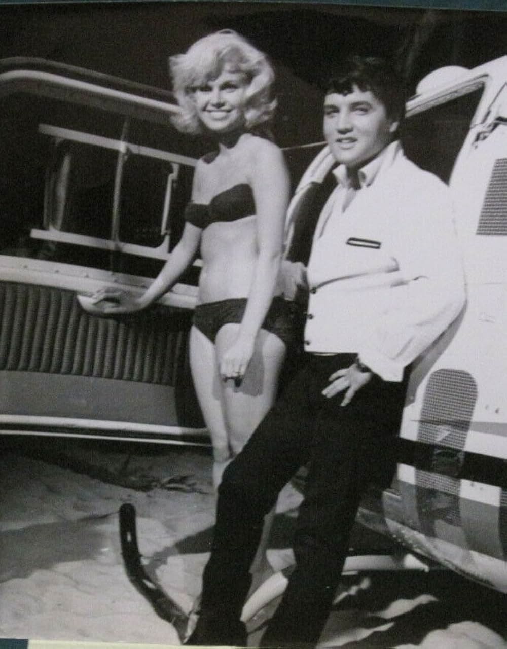 ハワイアン・パラダイスの画像