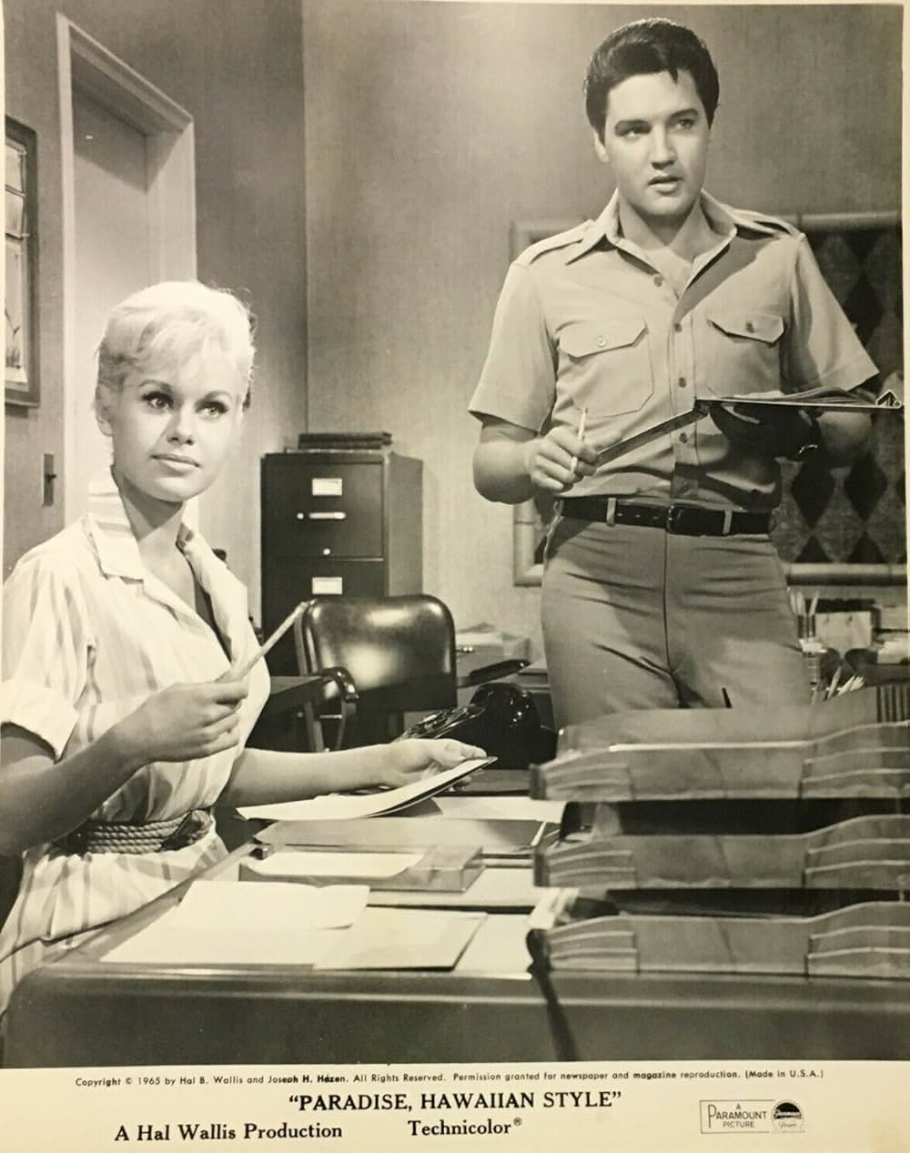 ハワイアン・パラダイスの画像