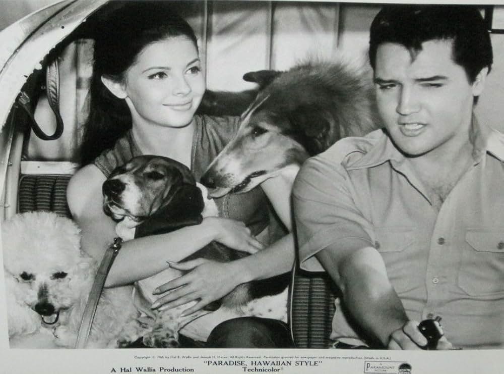 ハワイアン・パラダイスの画像