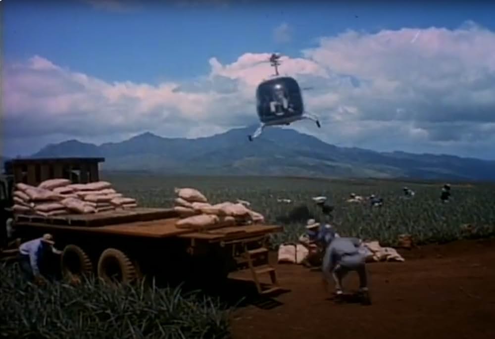 ハワイアン・パラダイスの画像