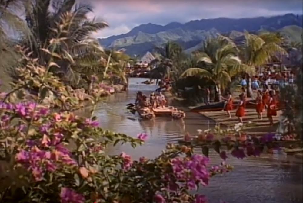 ハワイアン・パラダイスの画像