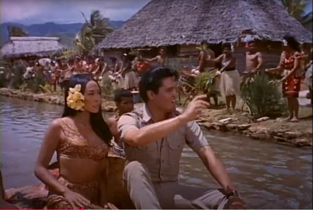 ハワイアン・パラダイスの画像