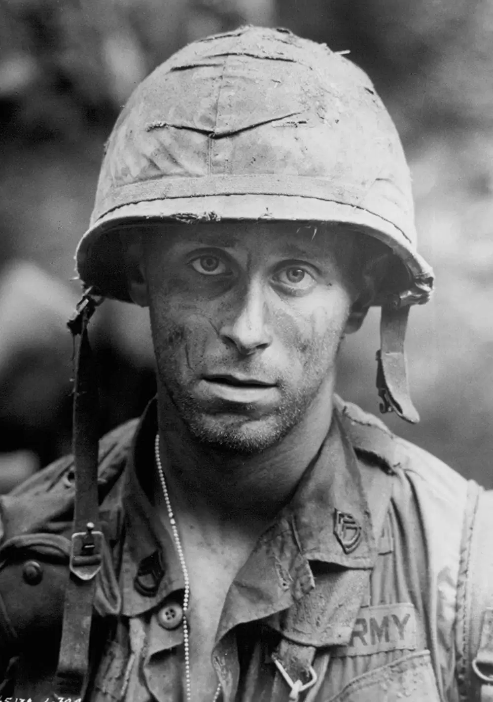 ハンバーガー・ヒルの画像