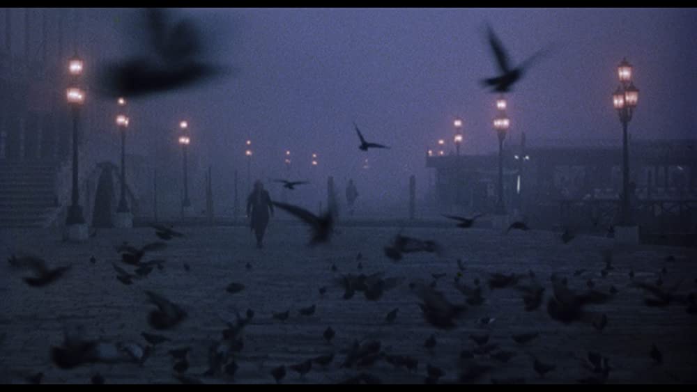 バンパイア・イン・ベニスの画像